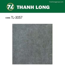 Gạch 30x30 Cosevco 3057
