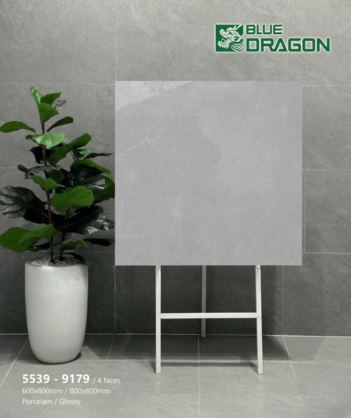 Gạch 60x60 Tasa 5539