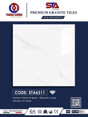 Gạch 60x60 Thắng Cường STA6311