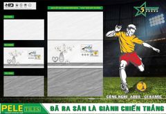 Gạch 30x60 BNC PELE 36605 36605D 36606