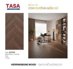 Gạch 60x120 Tasa S61242 BST Con đường gốm sứ