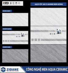 Gạch 30x60 BNC 36605 36605D 36606