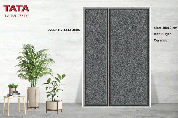 Gạch 40x60 BNC TATA 4605
