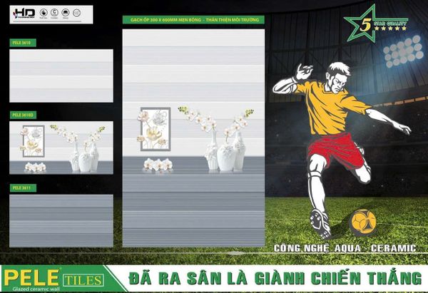 Gạch 30x60 BNC PELE 3610 3610D 3611