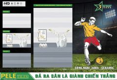 Gạch 30x60 BNC PELE 3610 3610D 3611