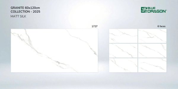 Gạch 60x120 Tasa 1727