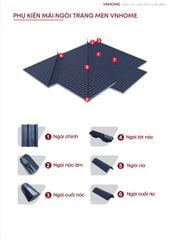 Ngói sóng tráng men VNHOME FUJISU