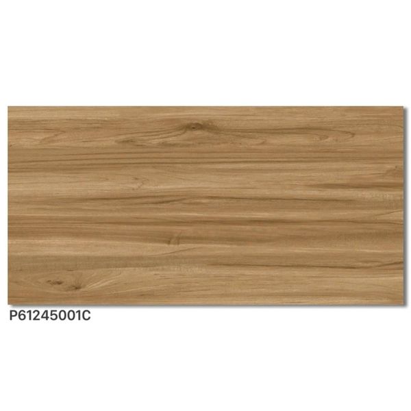 Gạch 60x120 Ý Mỹ P61245001C