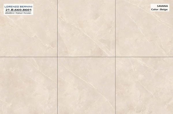 Gạch 60x60 Á Mỹ 21.B.660.8601