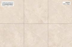 Gạch 60x60 Á Mỹ 21.B.660.8601