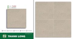 Gạch 40x40 Cosevco BlueDragon TL4434