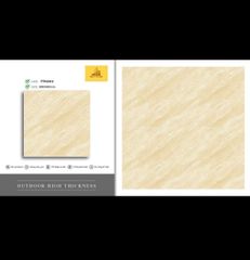 Gạch 30x30 Cosevco TTH3312