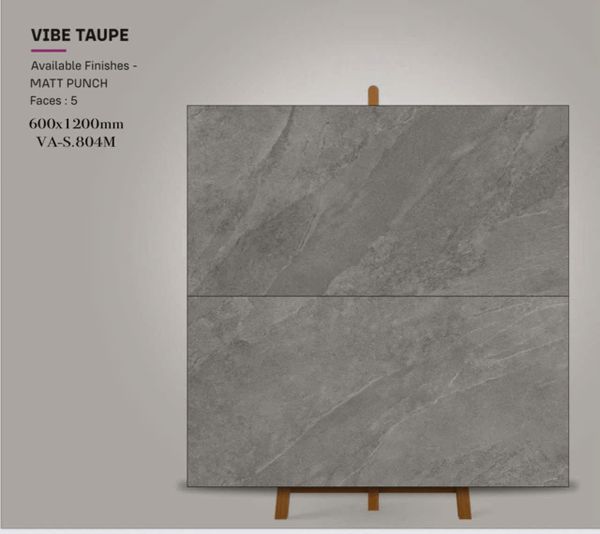 Gạch 60x120 Nhập Khẩu Ấn Độ S.804M