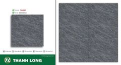 Gạch 40x40 Cosevco BlueDragon TL4431