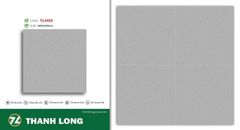 Gạch 40x40 Cosevco BlueDragon TL4433