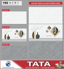 Gạch 30x60 BNC 36125 36125D 36126