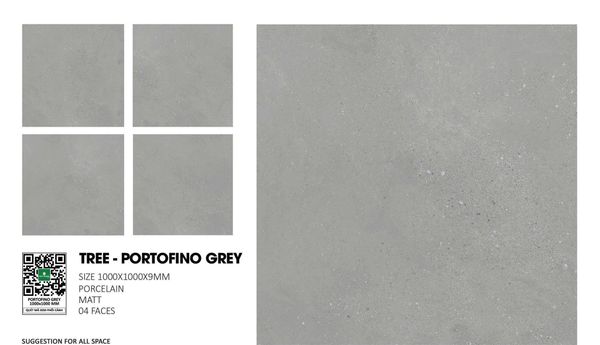 Gạch 100x100 Nhập khẩu Ấn Độ TREE-PORTOFINO GREY