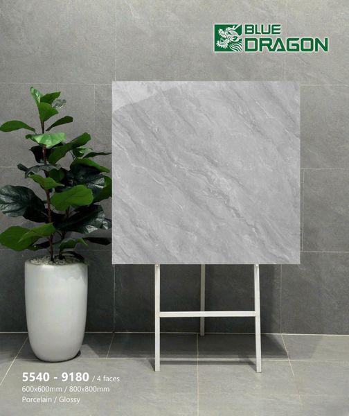 Gạch 60x60 Tasa 5540