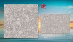 Gạch 40x40 Tasa 4020