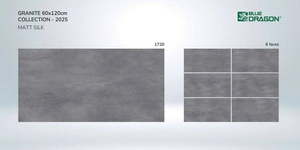 Gạch 60x120 Tasa 1720