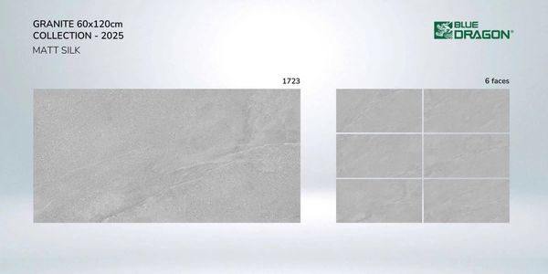 Gạch 60x120 Tasa 1723