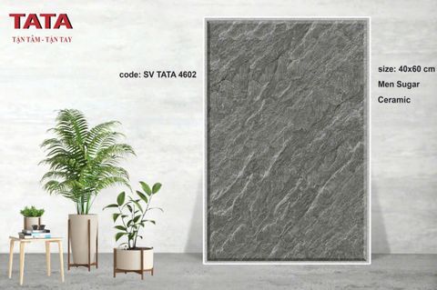 Gạch 40x60 BNC TATA 4602
