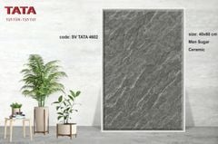 Gạch 40x60 BNC TATA 4602
