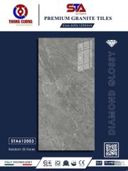 Gạch 60x120 Thắng Cường STA612003