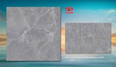 Gạch 40x40 Tasa 4019