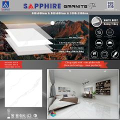 Gạch 60x60 Takao 36919