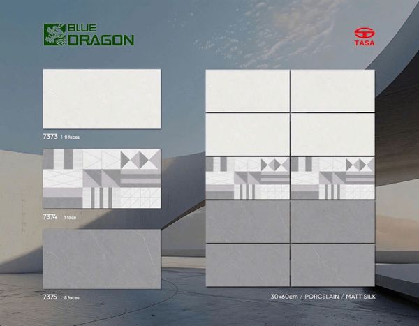 Gạch 30x60 Tasa 7373 7374 7375