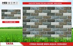 Gạch 30x60 BNC 3660-86 trang trí