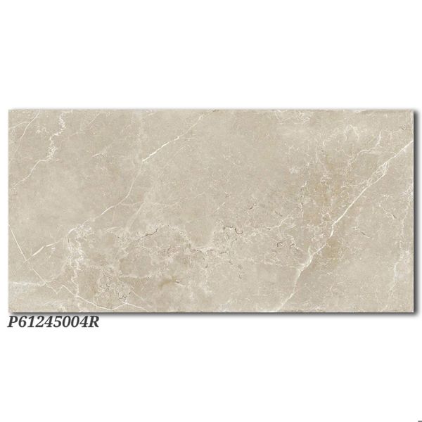 Gạch 60x120 Ý Mỹ P61245004R