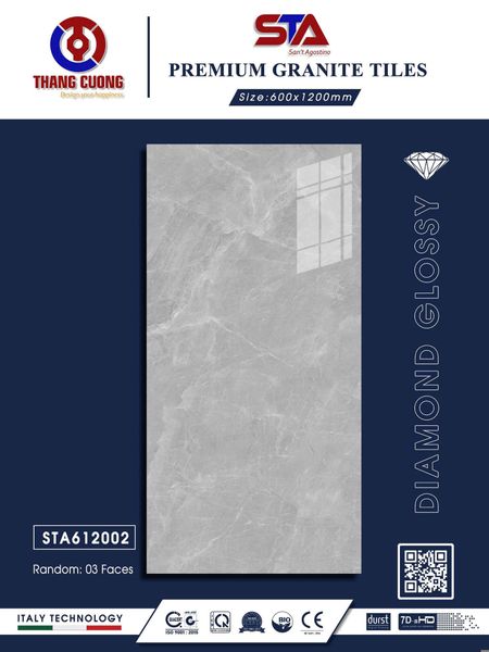 Gạch 60x120 Thắng Cường STA612002