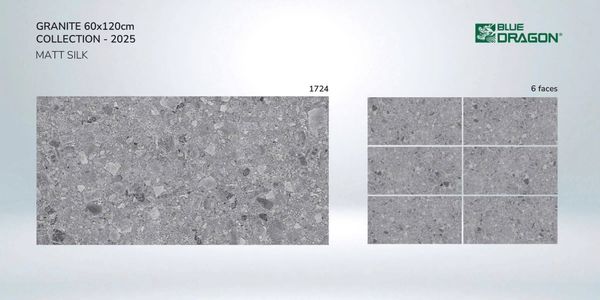 Gạch 60x120 Tasa 1724