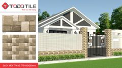 Gạch 20x40 Cosevco HP2417