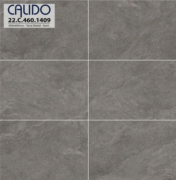 Gạch 40x60 Á Mỹ 22.C.460.1409