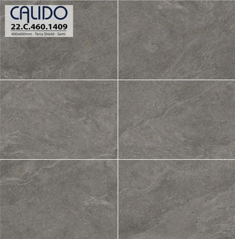 Gạch 40x60 Á Mỹ 22.C.460.1409