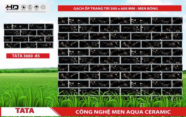 Gạch 30x60 BNC 3660-85 trang trí