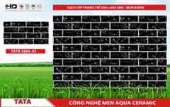 Gạch 30x60 BNC 3660-85 trang trí