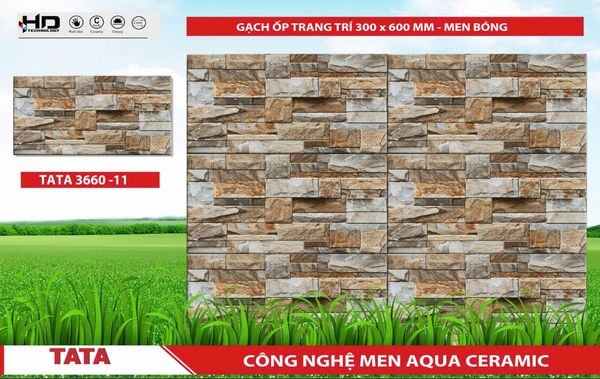Gạch 30x60 BNC 3660-11 trang trí