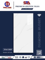Gạch 60x120 Thắng Cường STA612009
