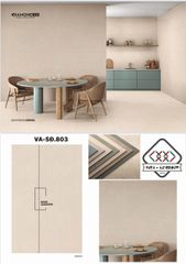Gạch 60x120 Nhập Khẩu Ấn Độ SĐ.803