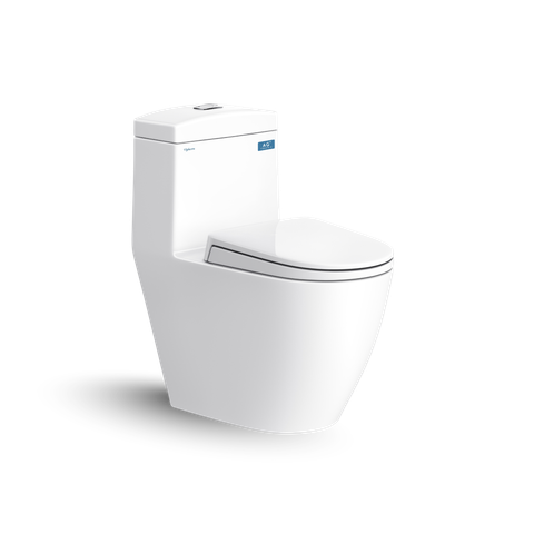 Bàn cầu một khối Viglacera V199