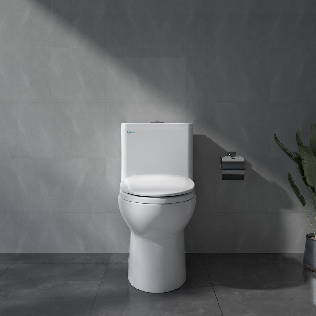 Bàn cầu một khối Viglacera V64