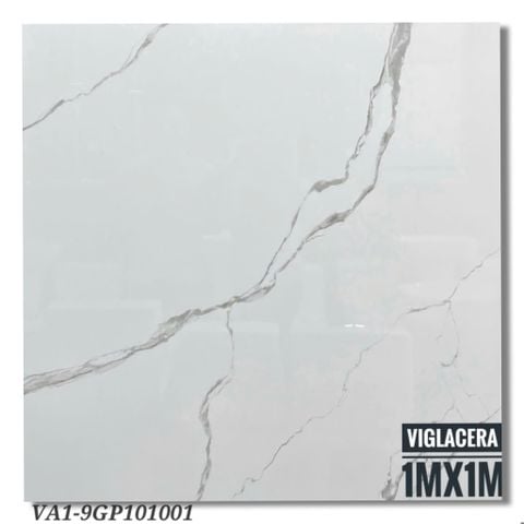 Gạch 100x100 Viglacera VA1-9GP101001