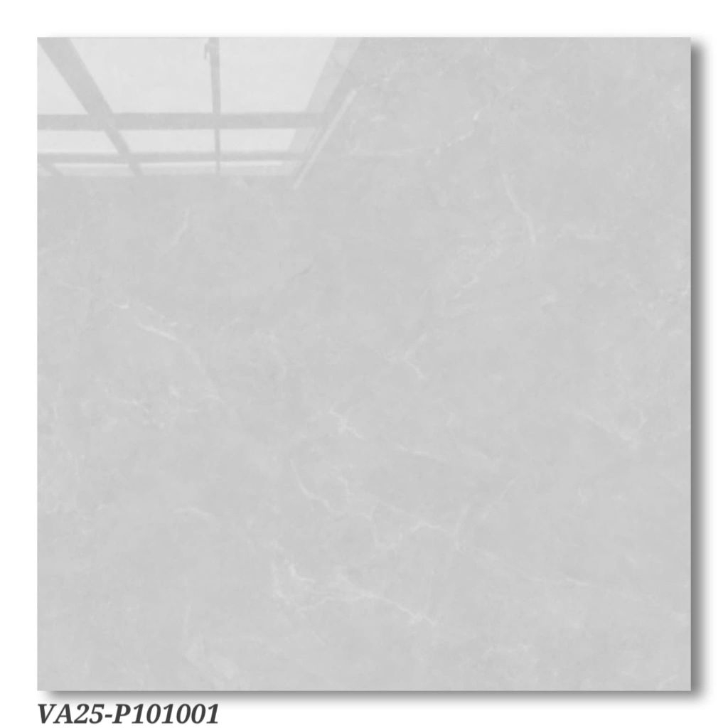 Gạch 100x100 Viglacera VA25-P101001