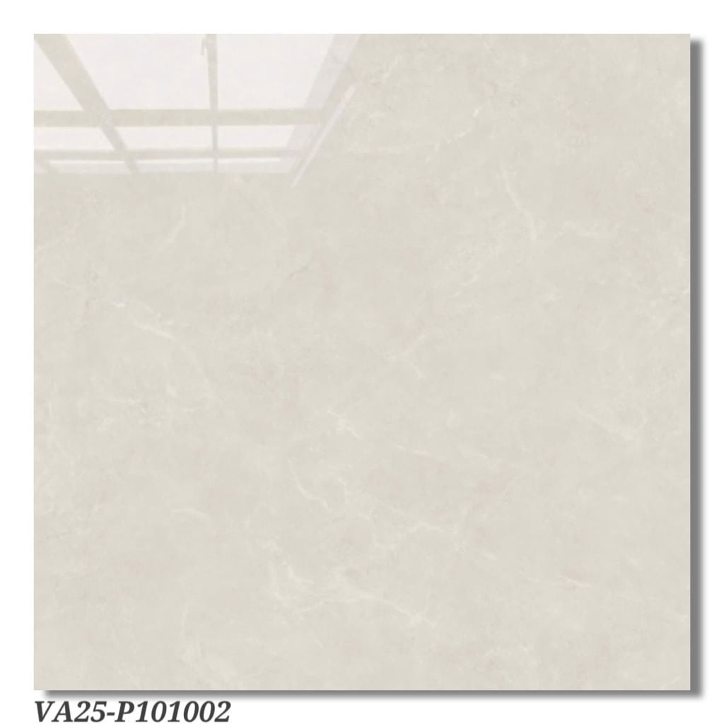 Gạch 100x100 Viglacera VA25 P101002
