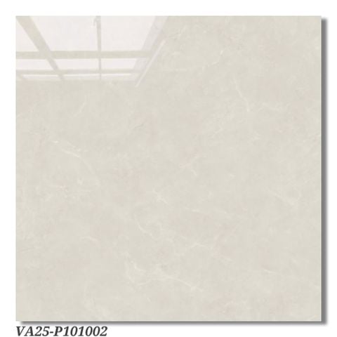 Gạch 100x100 Viglacera VA25 P101002