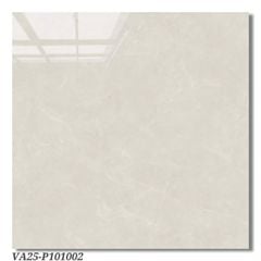 Gạch 100x100 Viglacera VA25 P101002